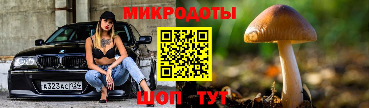Галлюциногенные грибы мухоморы  Вход с VPN  Кропоткин  наркотики  Галлюциногенные грибы Cubensis 